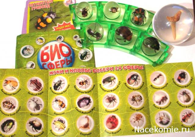 Чудеса Природы - График Выхода и обсуждение