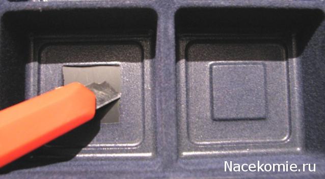 Чудеса Природы - График Выхода и обсуждение