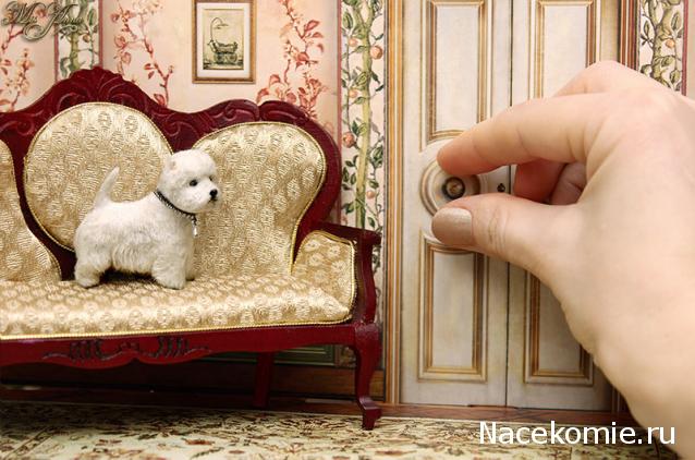 Жильцы Дома Мечты фото, ссылки, обсуждение