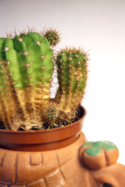 OksaNaV - Дача в Комарово