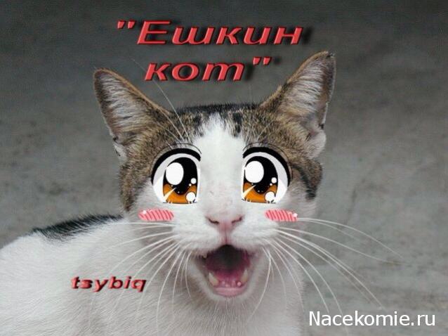 Аllia. Однажды где-то...