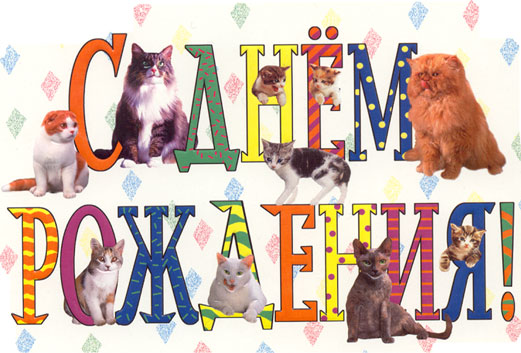 Дом Мечты наши дни рождения