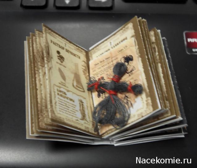 Matrena - Дом семьи де Монфор