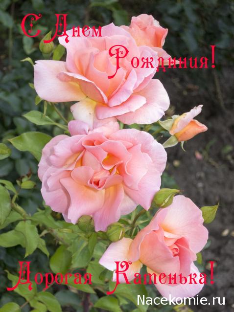 Наши Дни Рождения