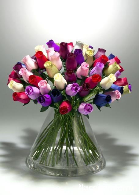 Дом Мечты наши дни рождения