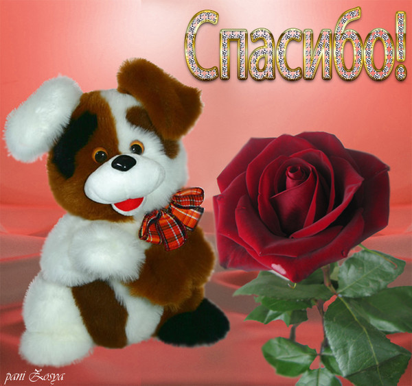 wangels  Имение Рапти - реконструкция мечты!