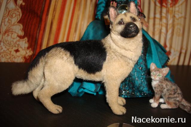 Жильцы Дома Мечты фото, ссылки, обсуждение