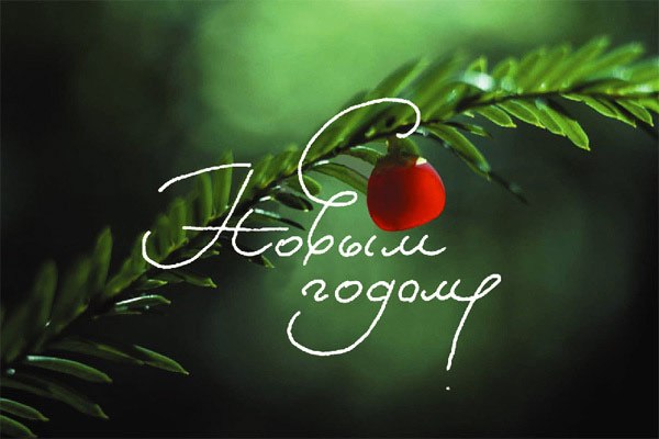 Penochka - Сочинение на вольную тему...