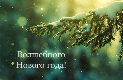 YMEQKA- Дом где живут мои мечты.