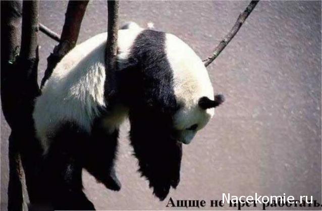 repLIka - Лучше поздно, чем никогда