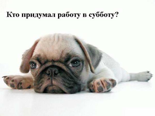 repLIka - Лучше поздно, чем никогда