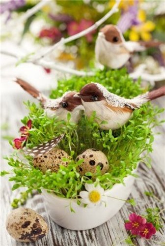 Весенние феечки - 2014.