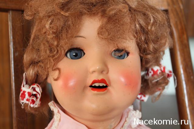 sphynx Канадские сфинксы в английском доме