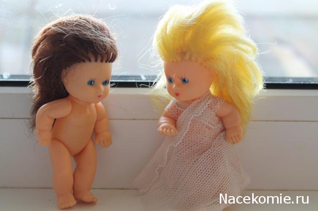 sphynx Канадские сфинксы в английском доме