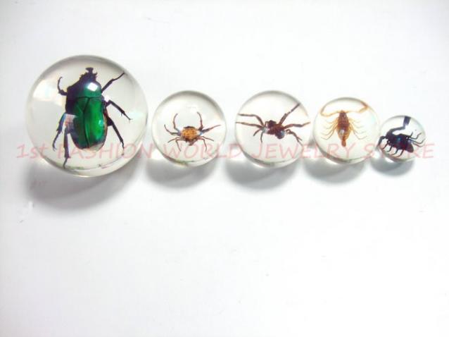 Чудеса Природы - График Выхода и обсуждение