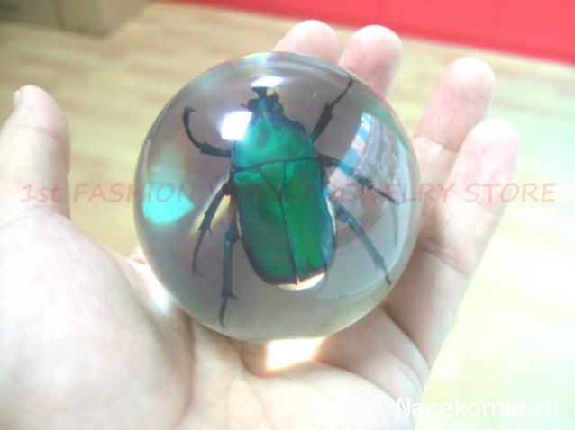 Чудеса Природы - График Выхода и обсуждение