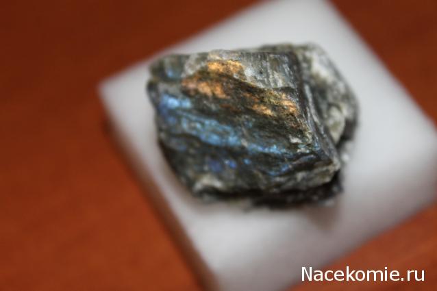 Минералы Сокровища Земли (2013) - График Выхода и обсуждение