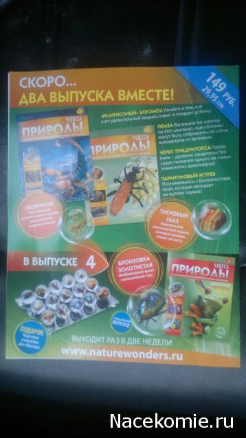 Чудеса Природы №1 - Окаменелый зуб акулы