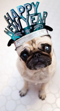 repLIka - Лучше поздно, чем никогда