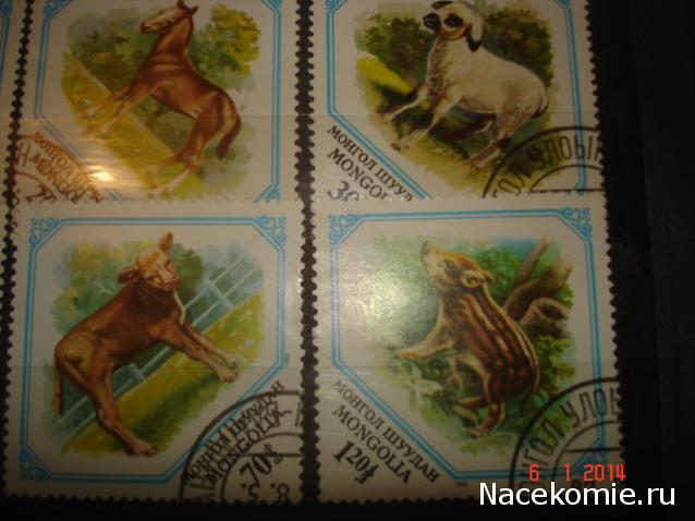 Коллекция unnik