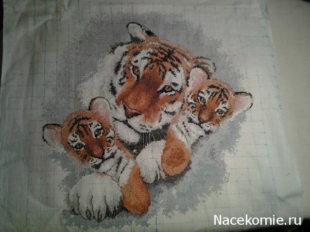 Наши процессы и долгострой