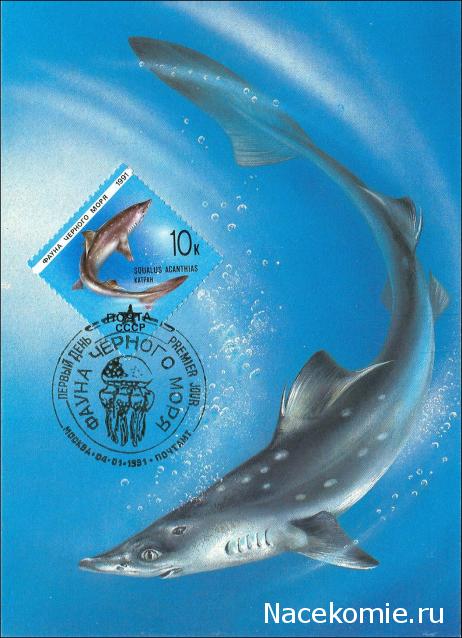 Почтовые Марки Мира №2