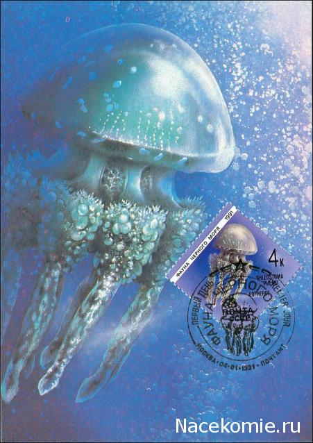 Почтовые Марки Мира №2