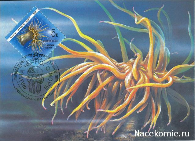 Почтовые Марки Мира №2