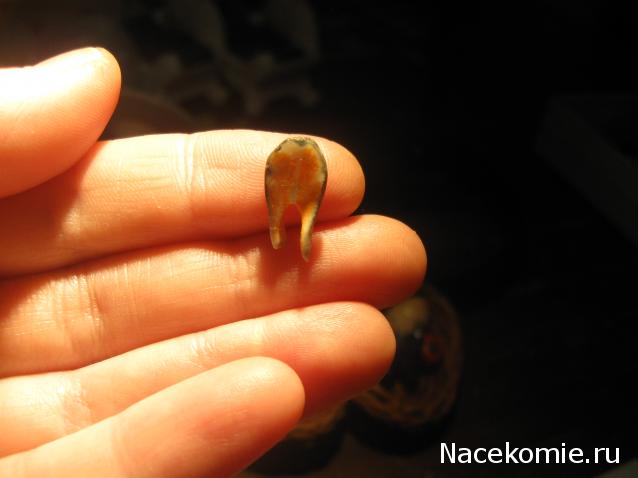 Дом Мечты. Аксессуары и мебель своими руками часть 2