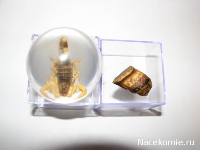 Чудеса Природы  №3 - Тигровый глаз