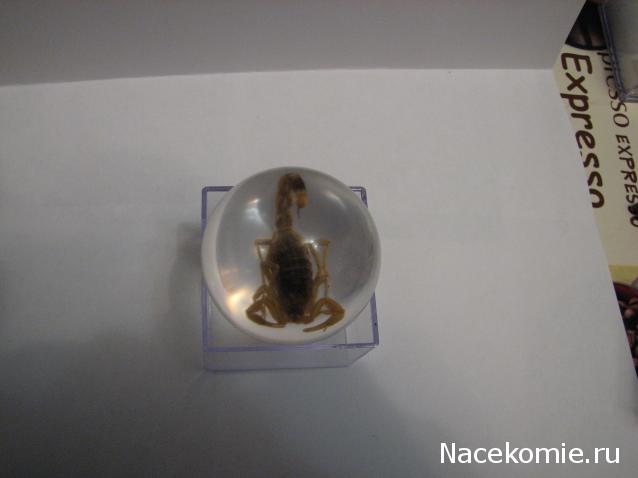 Чудеса Природы  №3 - Тигровый глаз