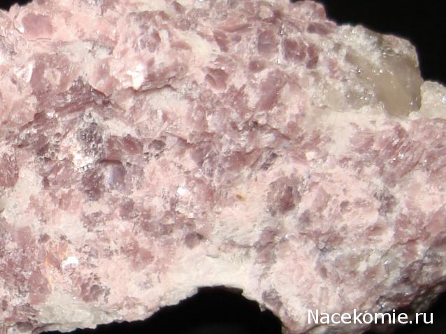 Минералы Сокровища Земли №19 - Лепидолит