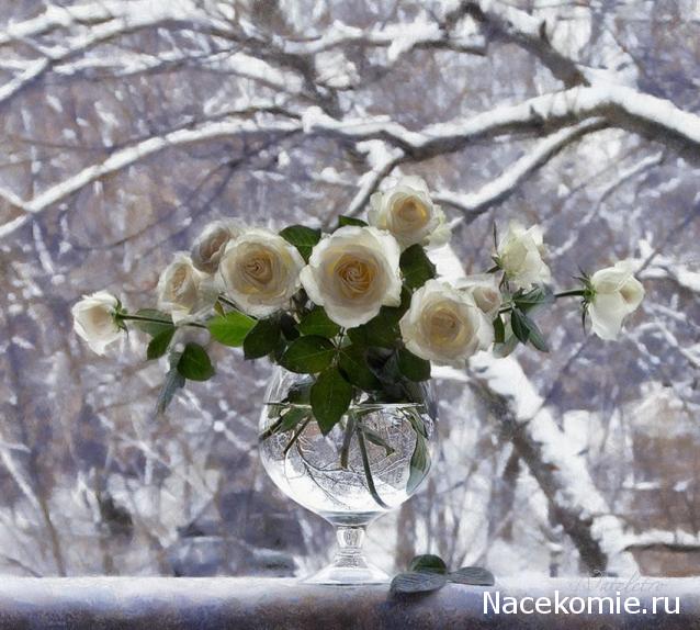 Дом Мечты наши дни рождения