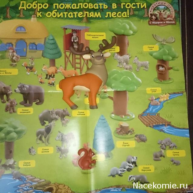 Животные Леса №1 - Олень Елисей и белка-папа Кузьма