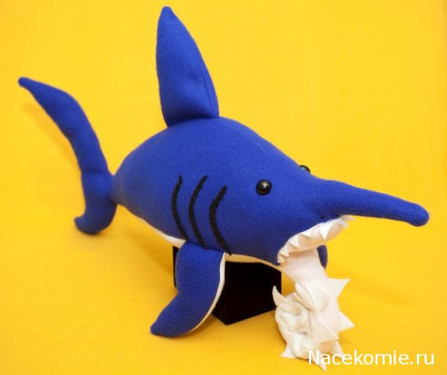 Чудеса Природы №1 - Окаменелый зуб акулы