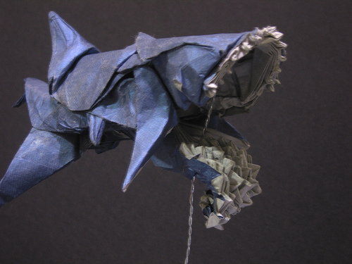 Чудеса Природы №1 - Окаменелый зуб акулы