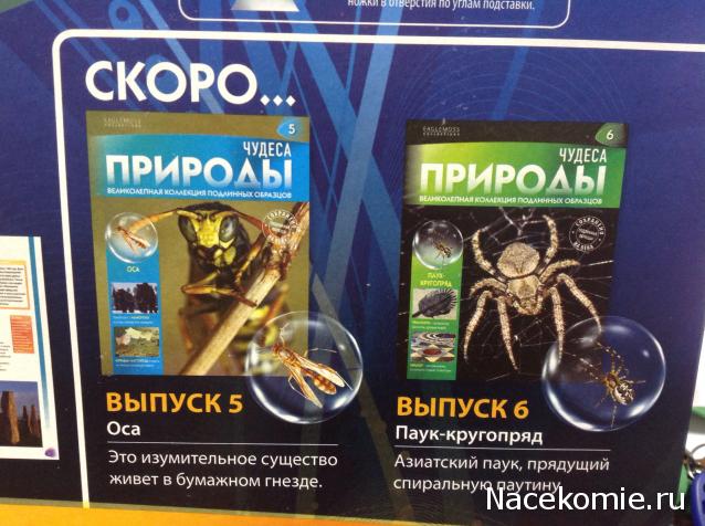 Чудеса Природы - График Выхода и обсуждение