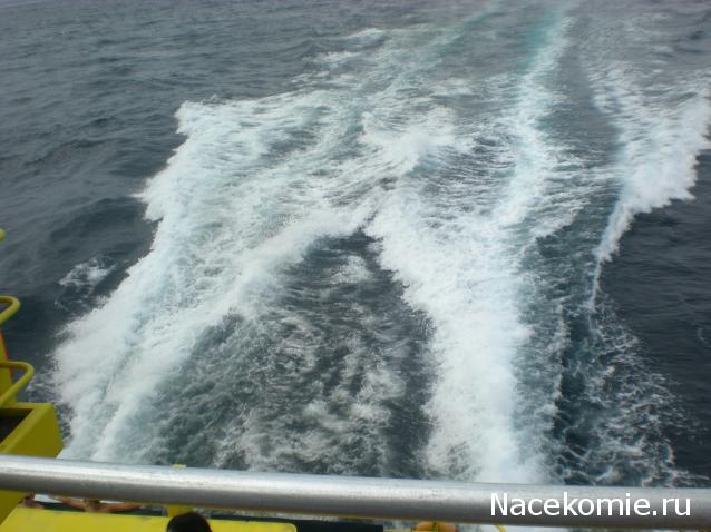 Ваши предложения по форуму