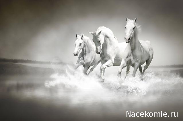 Наши Дни Рождения