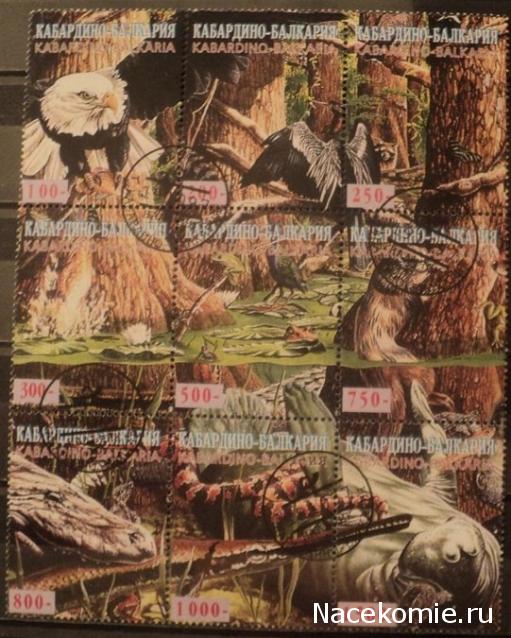 Что за Марка