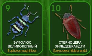 Насекомые и их знакомые 2014 - График Выхода и обсуждение