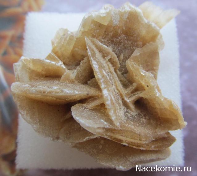 Минералы Сокровища Земли №21 - Роза пустыни