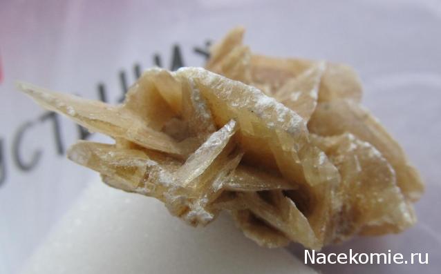 Минералы Сокровища Земли №21 - Роза пустыни