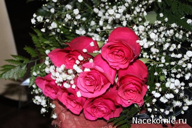 Дом Мечты наши дни рождения