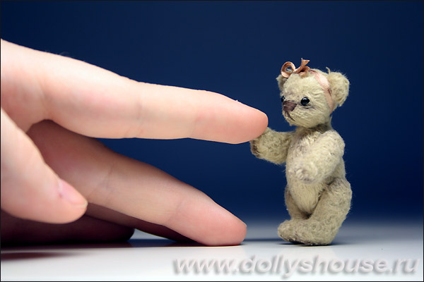 Дом Мечты наши дни рождения