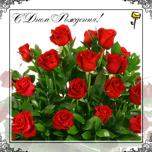 Galya: "My house is my castle"