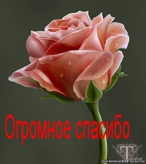 YMEQKA- Дом где живут мои мечты.