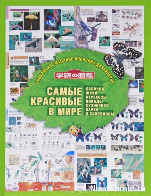 Насекомые и их знакомые 2014 - График Выхода и обсуждение