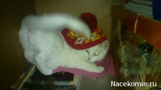 Весенний сюрпризник 2014