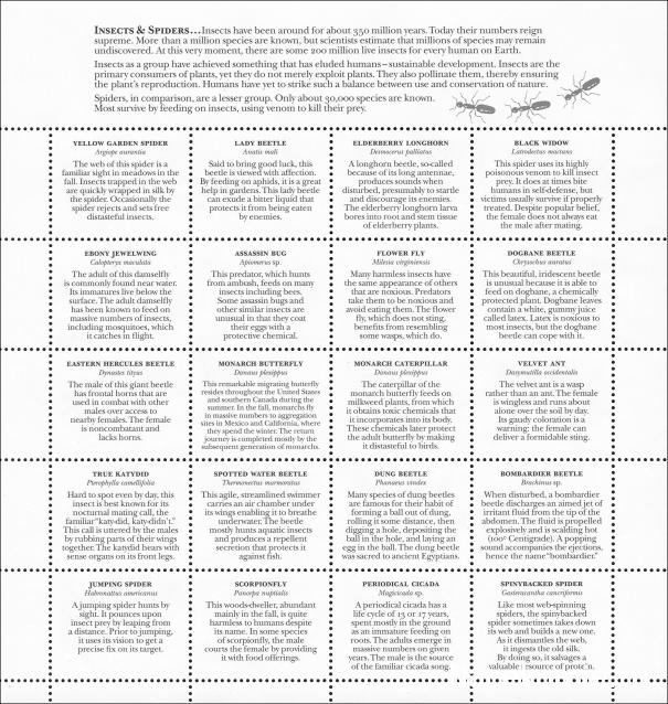 Что за Марка